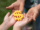 The yellow dollar symbol on hands of elderly and child for the investment or saving of people with differences diversity for insurance, education, safety life for good and stable in future of family