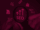 1000151384